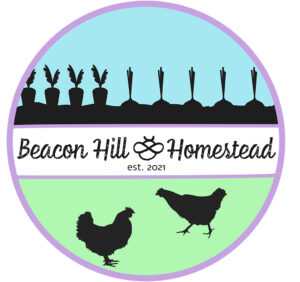 Beacon Hill Homestead Logo